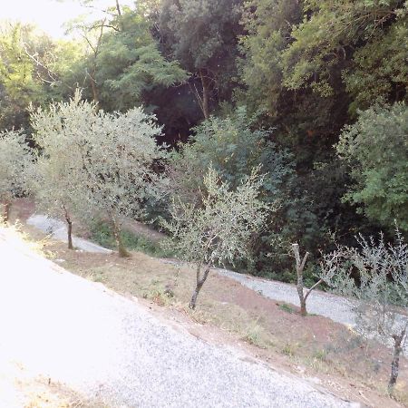 Fattoria Ceragioli Villa Camaiore Luaran gambar
