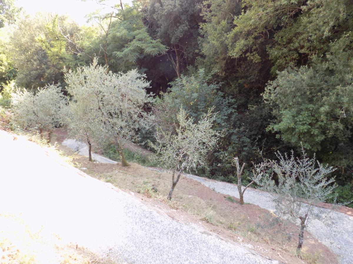 Fattoria Ceragioli Villa Camaiore Luaran gambar
