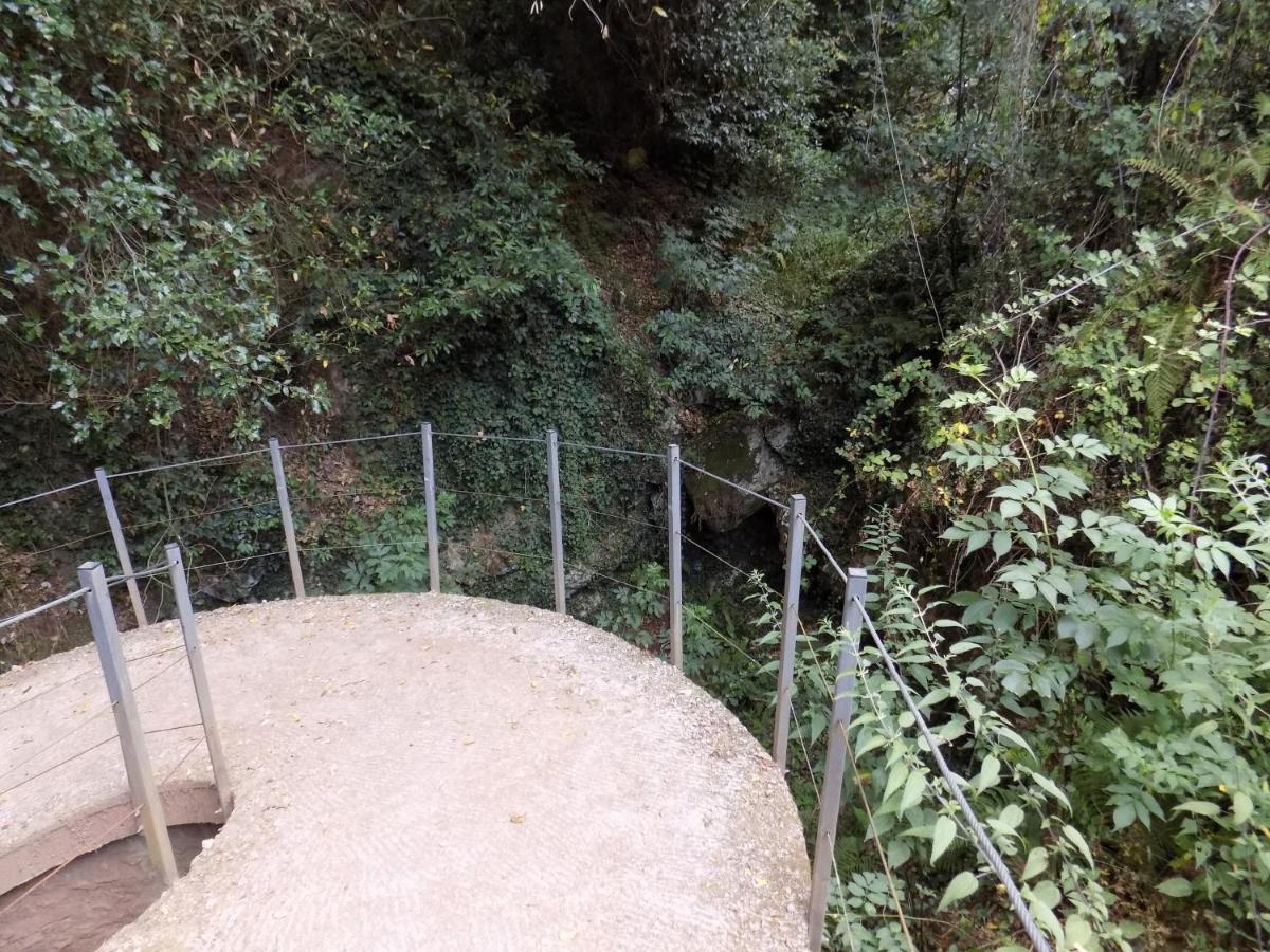 Fattoria Ceragioli Villa Camaiore Luaran gambar