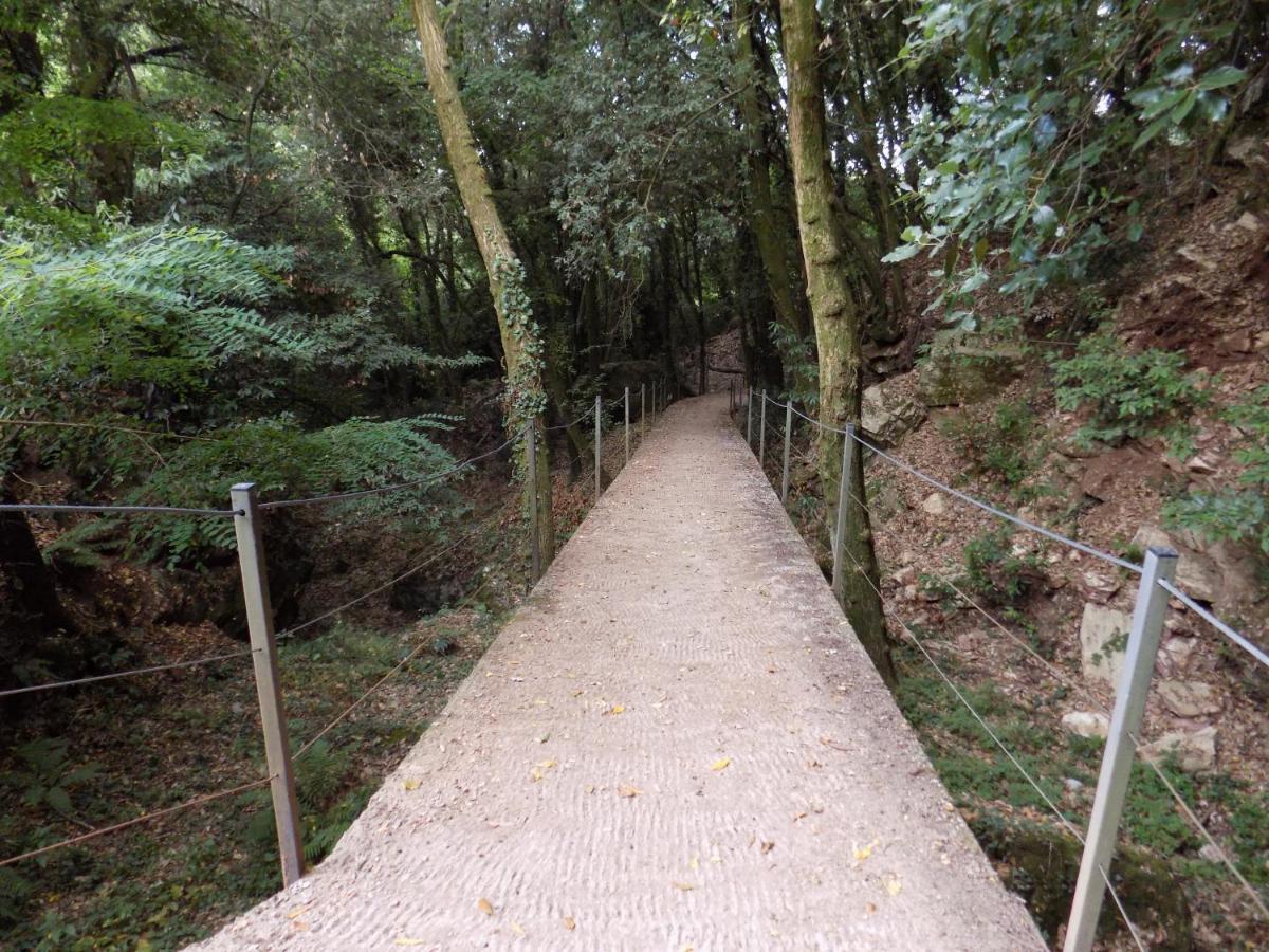 Fattoria Ceragioli Villa Camaiore Luaran gambar