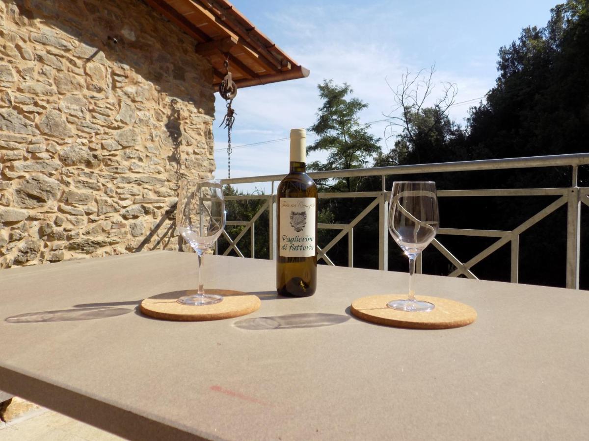 Fattoria Ceragioli Villa Camaiore Luaran gambar