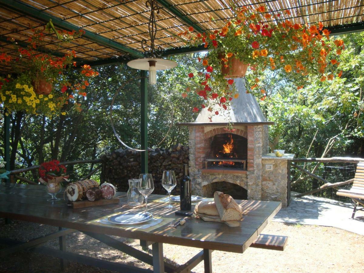 Fattoria Ceragioli Villa Camaiore Luaran gambar