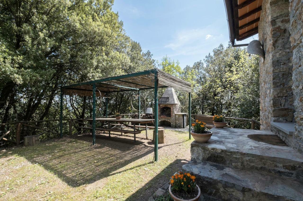 Fattoria Ceragioli Villa Camaiore Luaran gambar