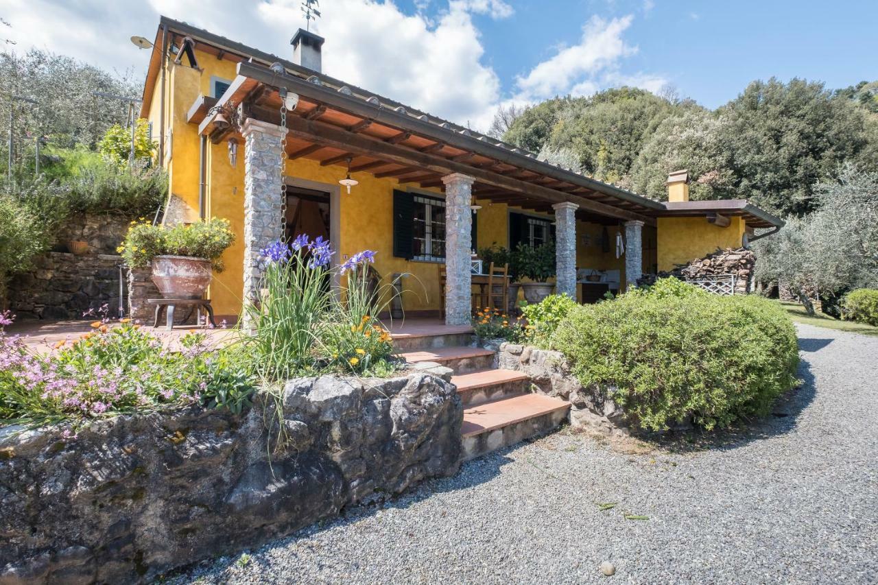 Fattoria Ceragioli Villa Camaiore Luaran gambar